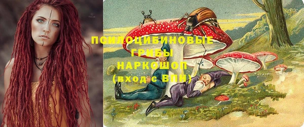 хмурый Алексеевка