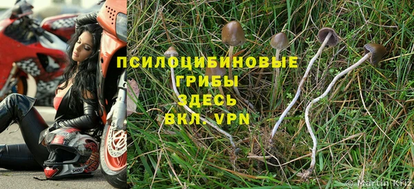 хмурый Алексеевка